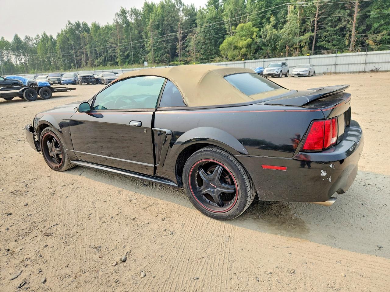 2003 Ford Mustang Black vin: 1FAFP44443F341256