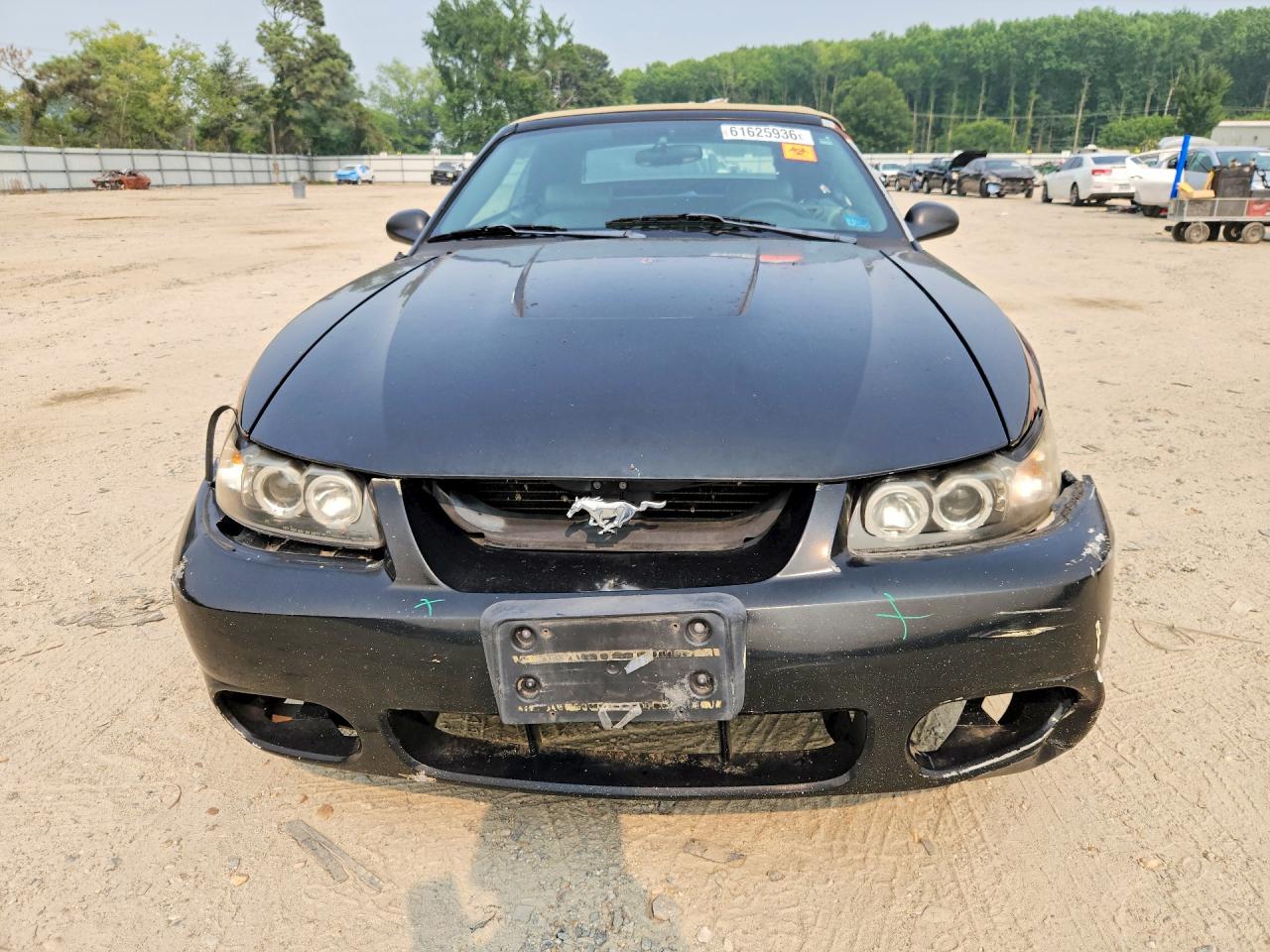 2003 Ford Mustang Black vin: 1FAFP44443F341256