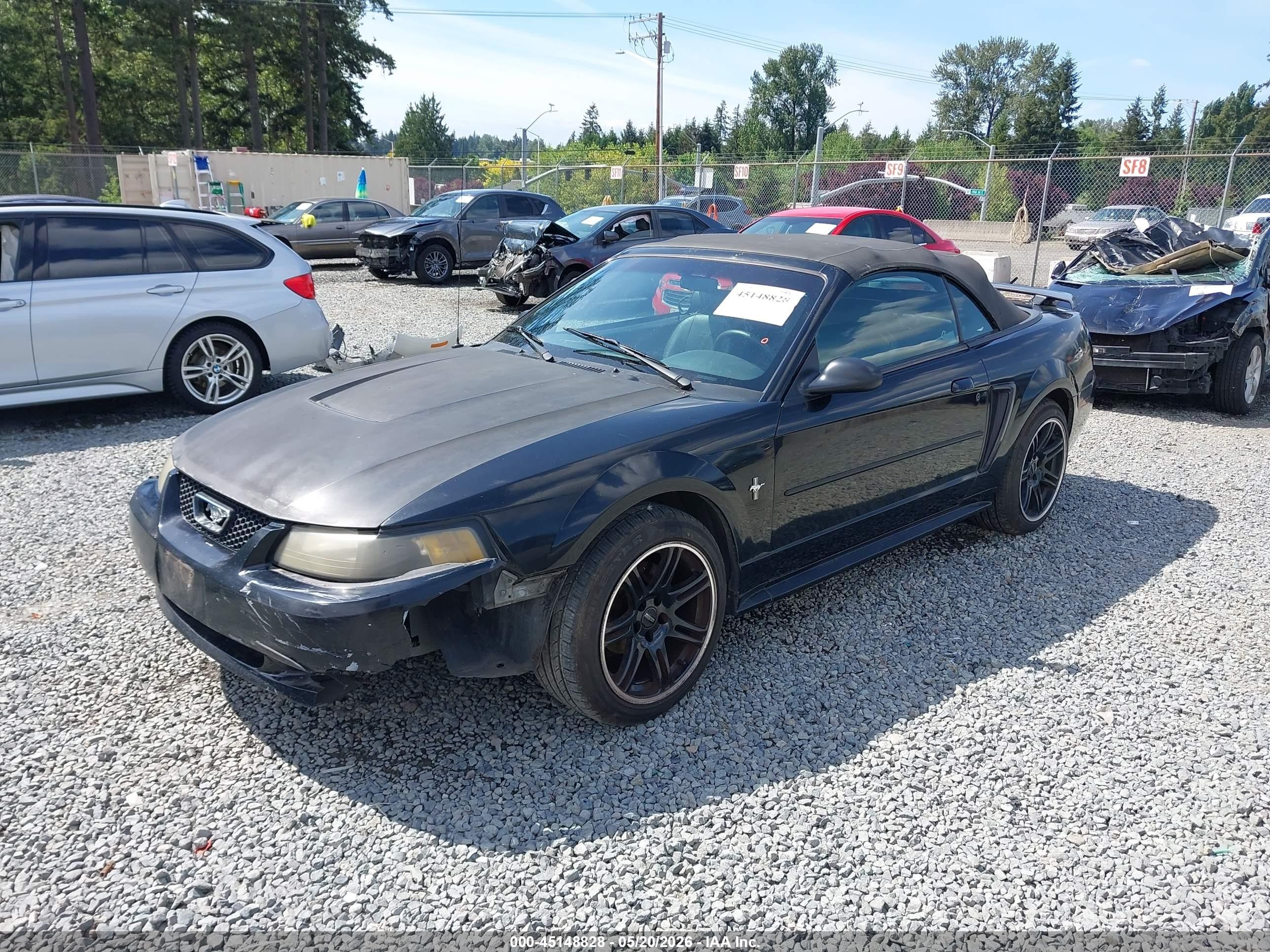 2003 Ford Mustang   Black vin: 1FAFP44443F419003