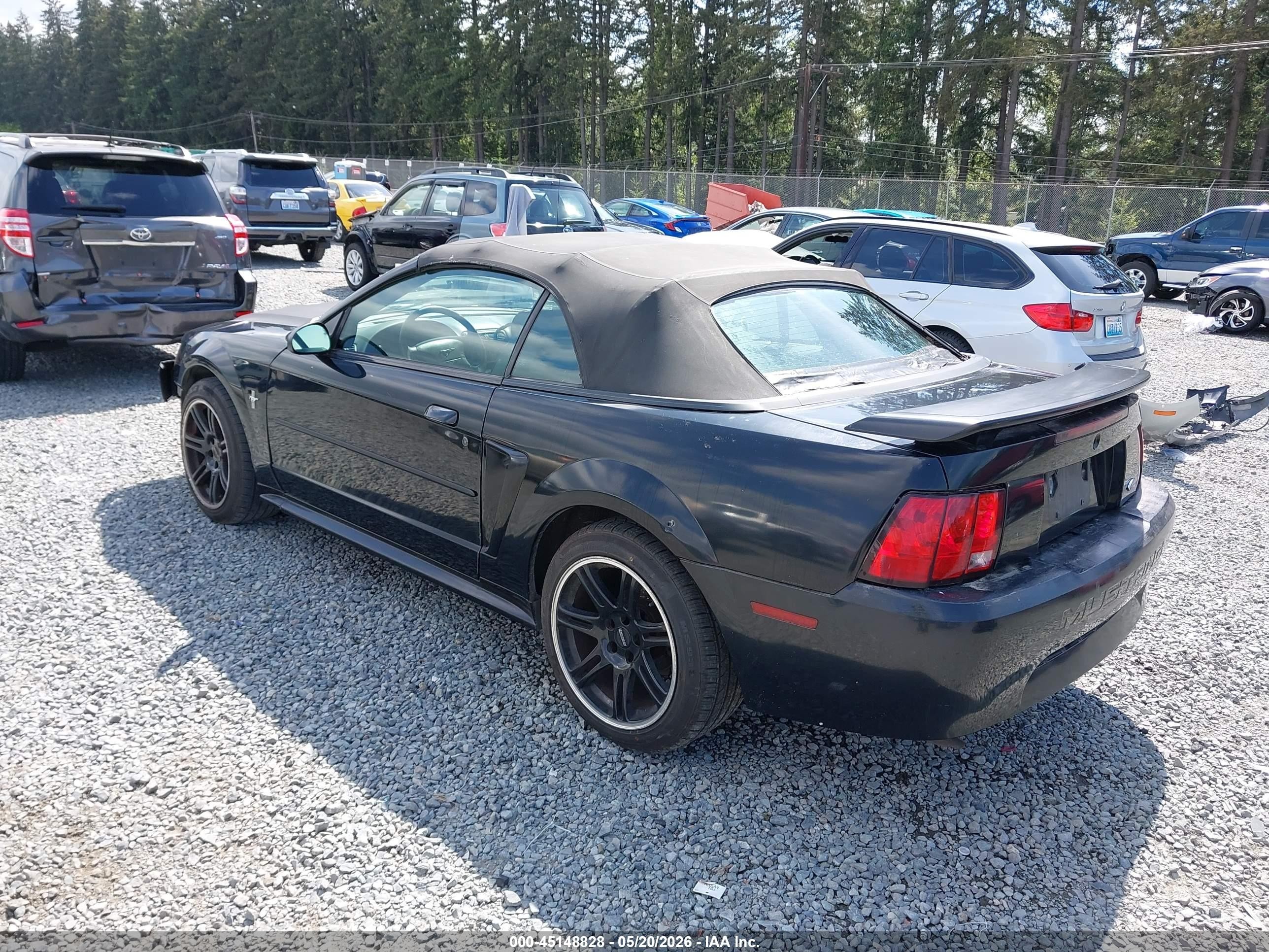 2003 Ford Mustang   Black vin: 1FAFP44443F419003