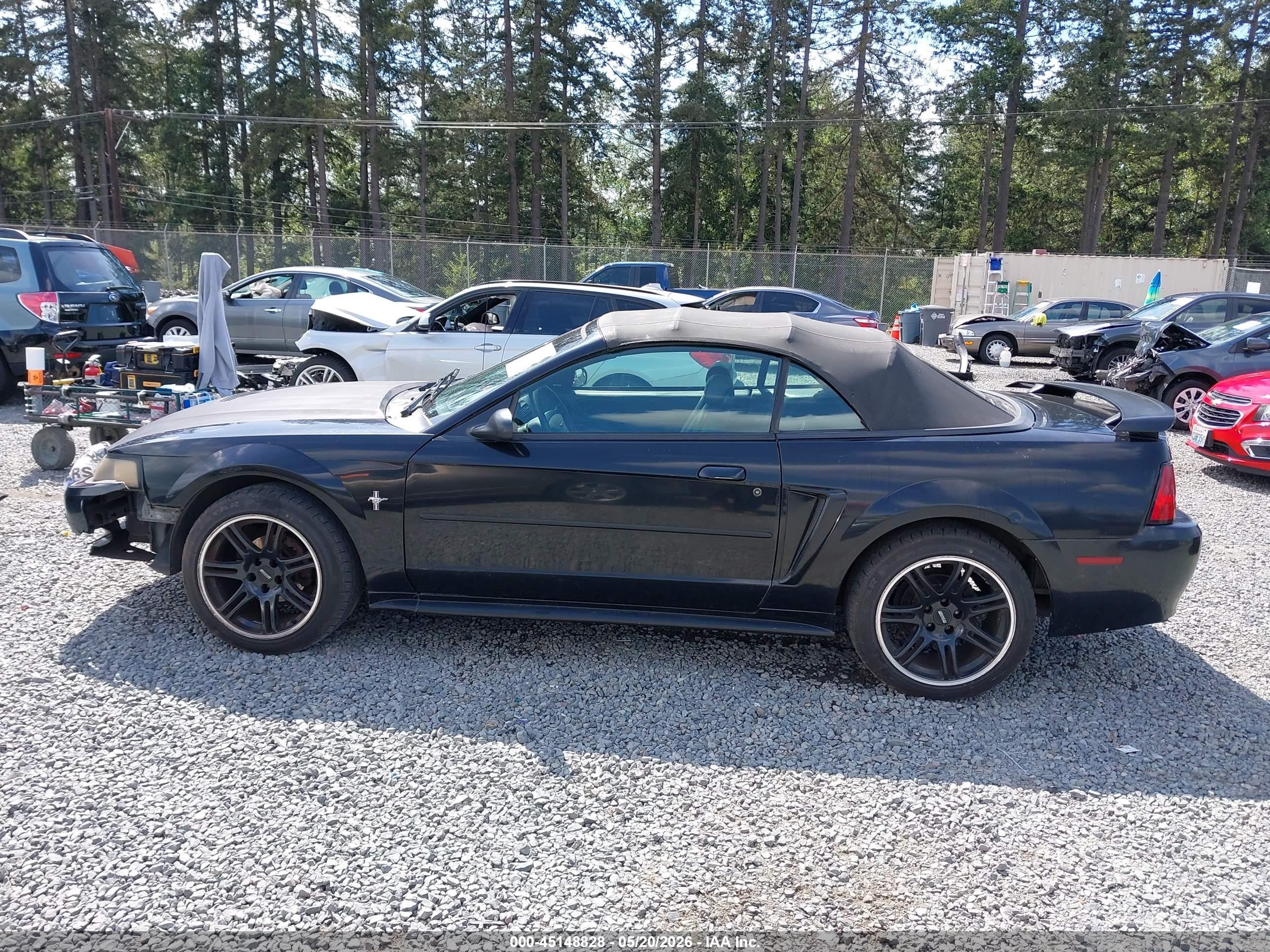 2003 Ford Mustang   Black vin: 1FAFP44443F419003
