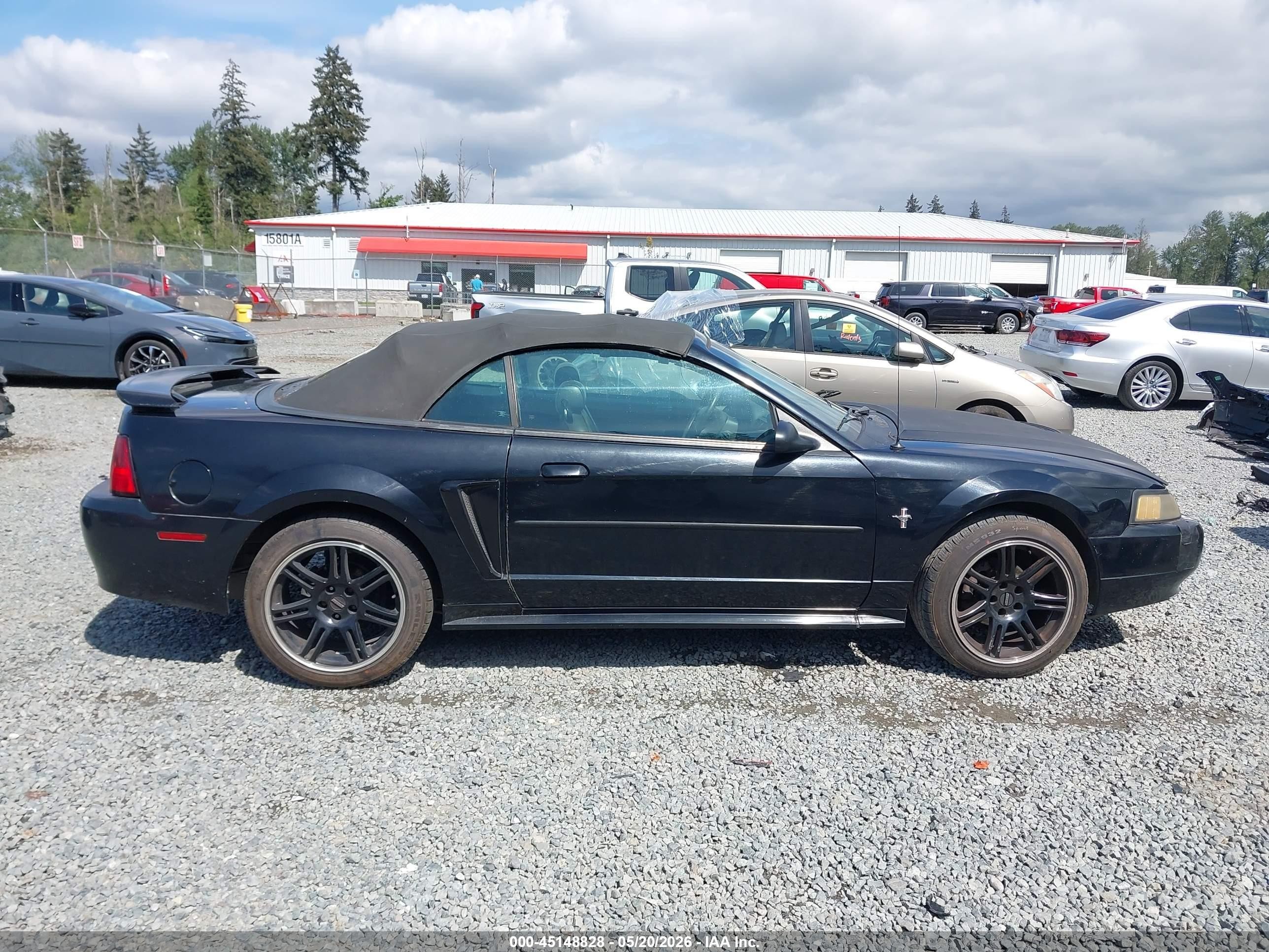 2003 Ford Mustang   Black vin: 1FAFP44443F419003