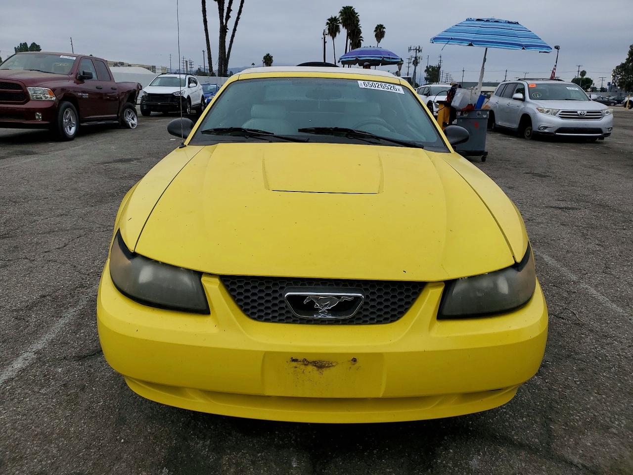 2003 Ford Mustang Yellow vin: 1FAFP44443F421074
