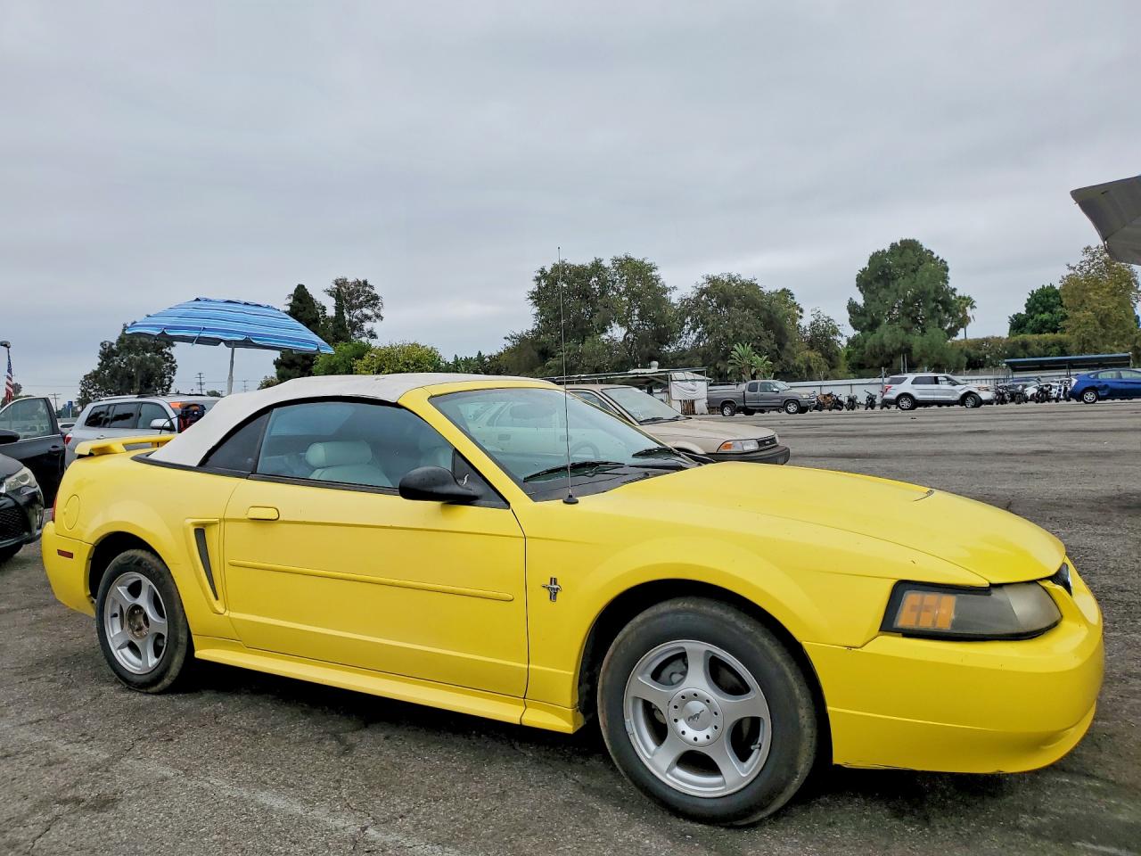 2003 Ford Mustang Yellow vin: 1FAFP44443F421074