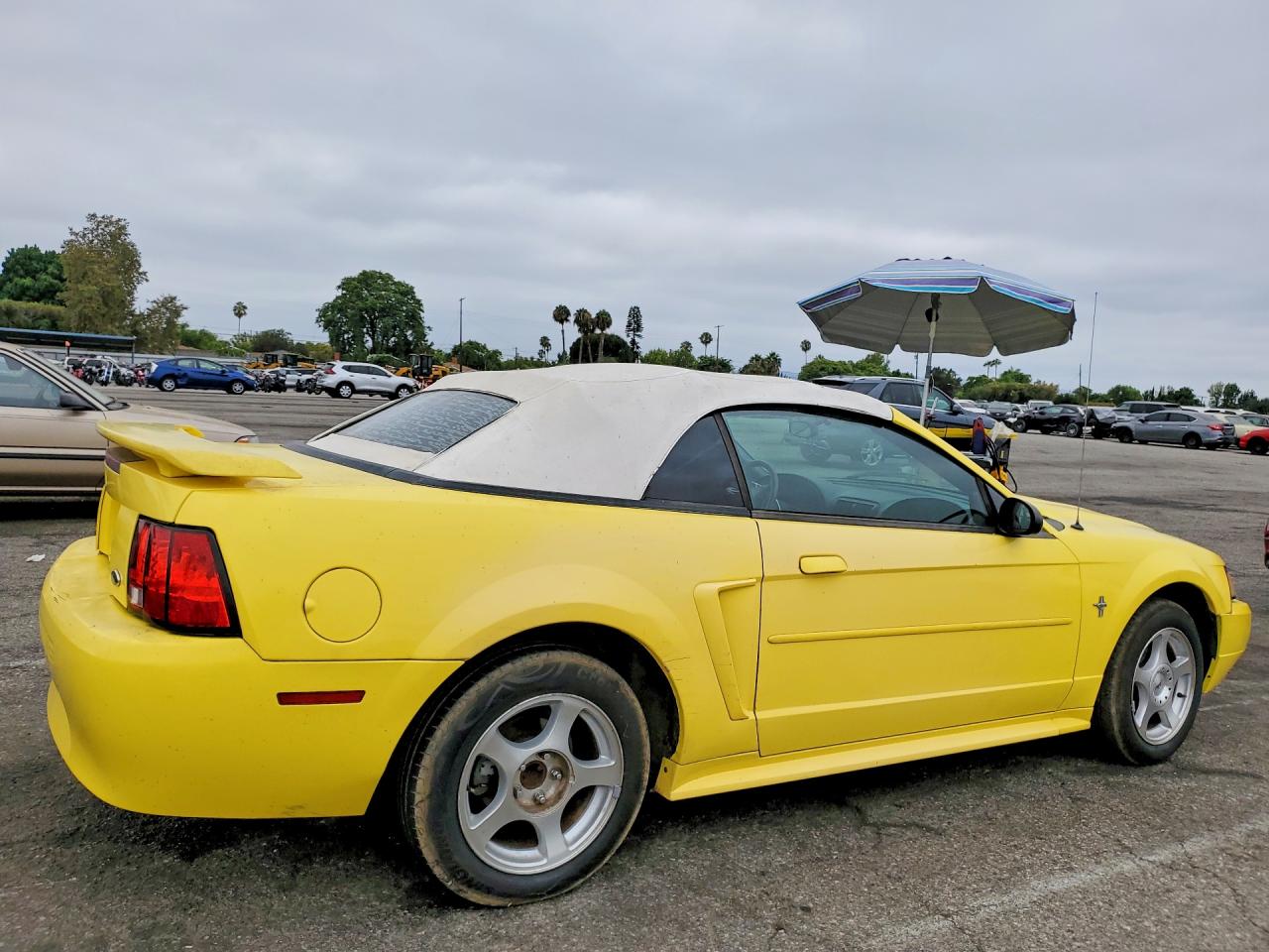 2003 Ford Mustang Yellow vin: 1FAFP44443F421074