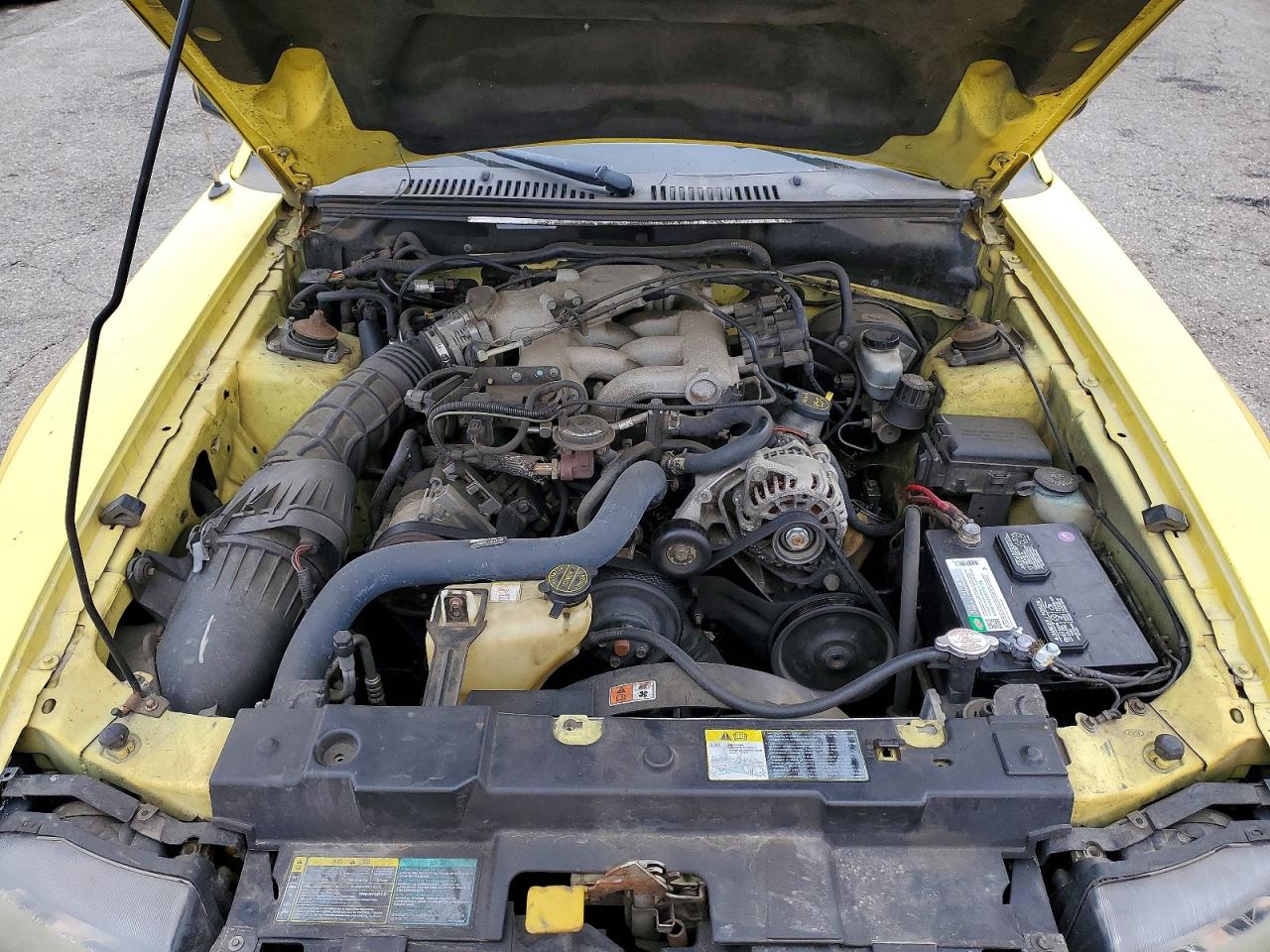 2003 Ford Mustang Yellow vin: 1FAFP44443F421074