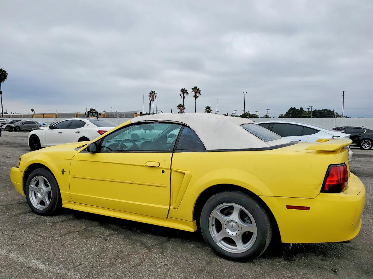 2003 Ford Mustang Yellow vin: 1FAFP44443F421074