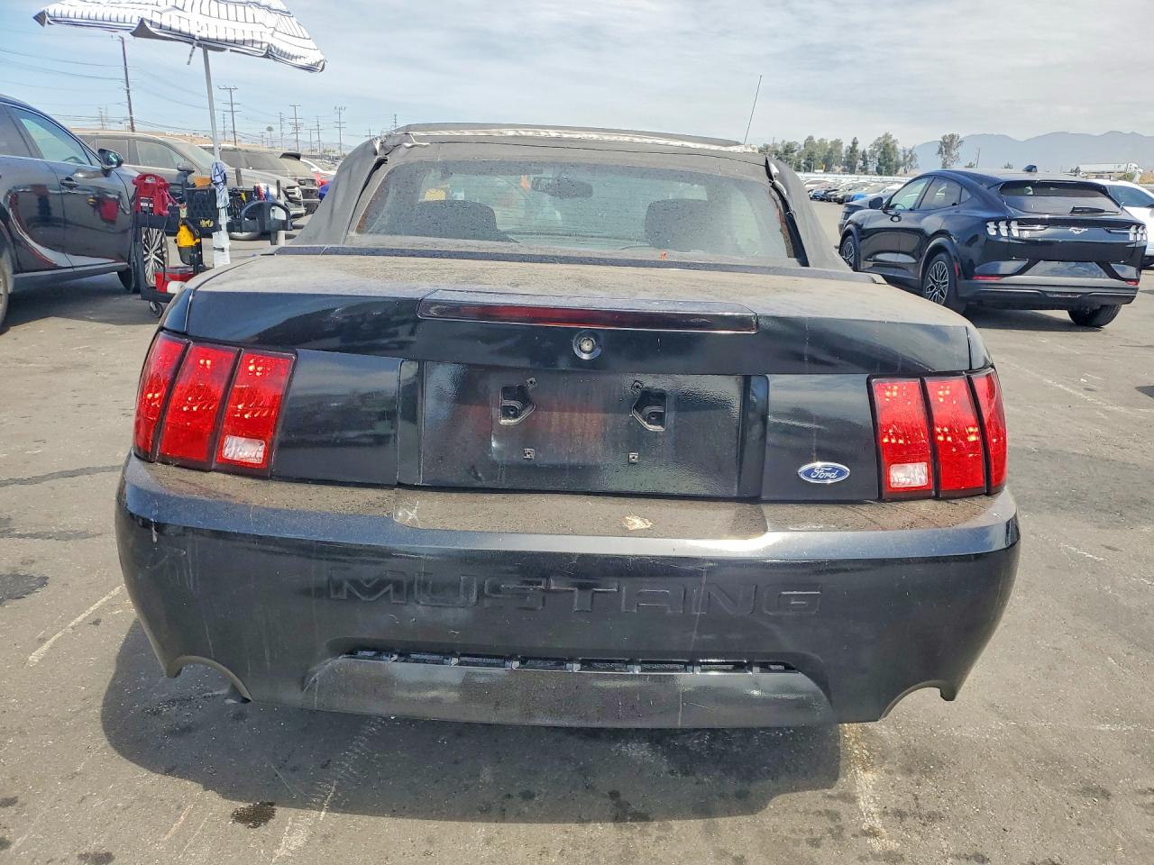2000 Ford Mustang Black vin: 1FAFP4444YF192886