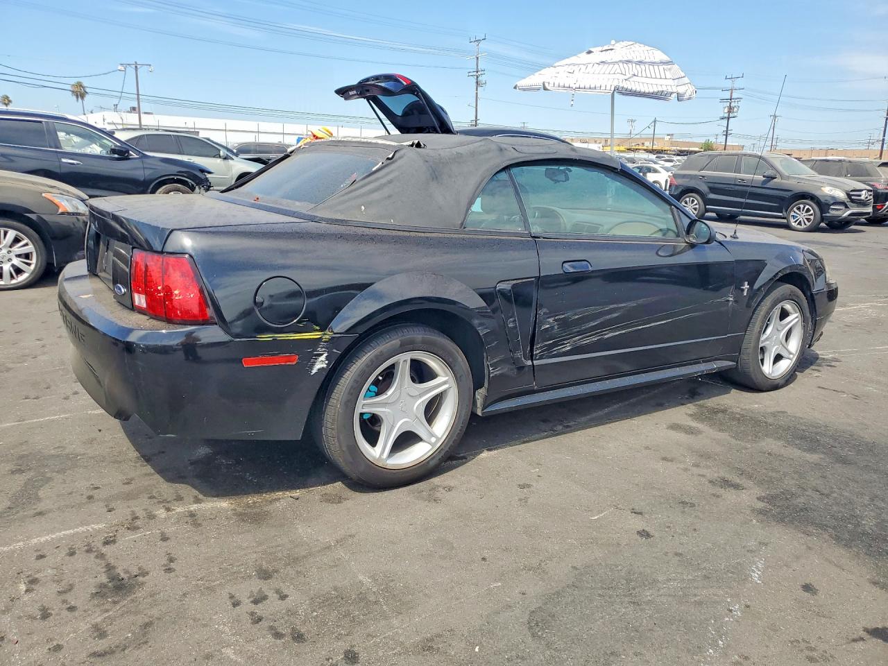 2000 Ford Mustang Black vin: 1FAFP4444YF192886
