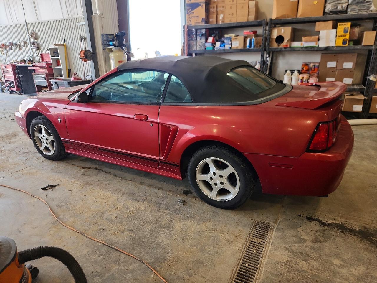 2000 Ford Mustang Красный vin: 1FAFP4444YF255209
