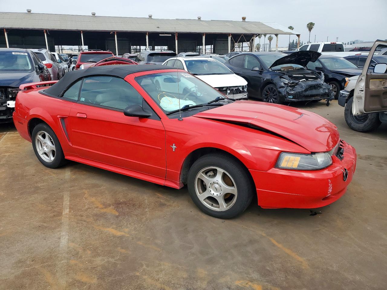 2003 Ford Mustang Red vin: 1FAFP44453F431578