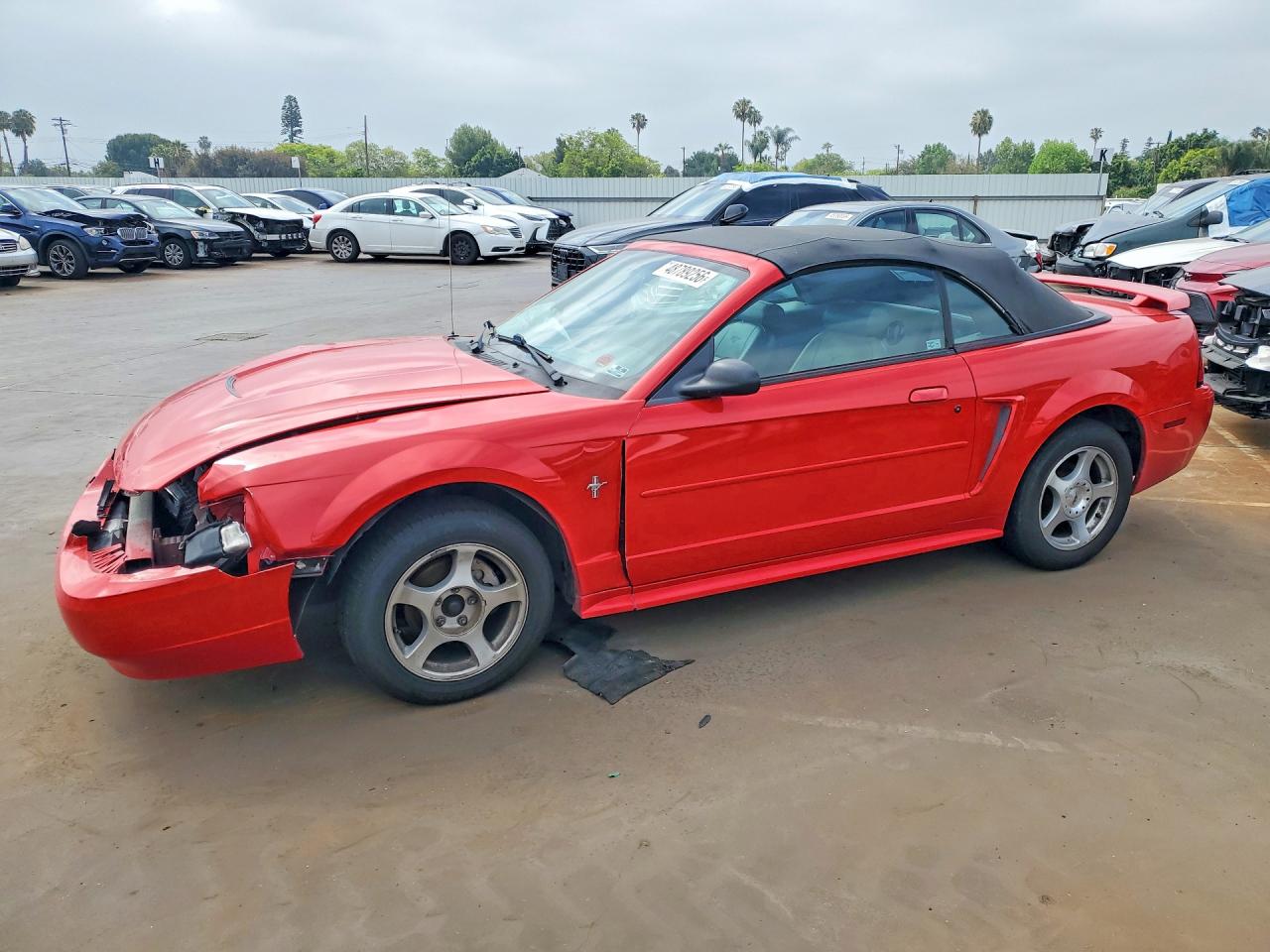 2003 Ford Mustang Red vin: 1FAFP44453F431578