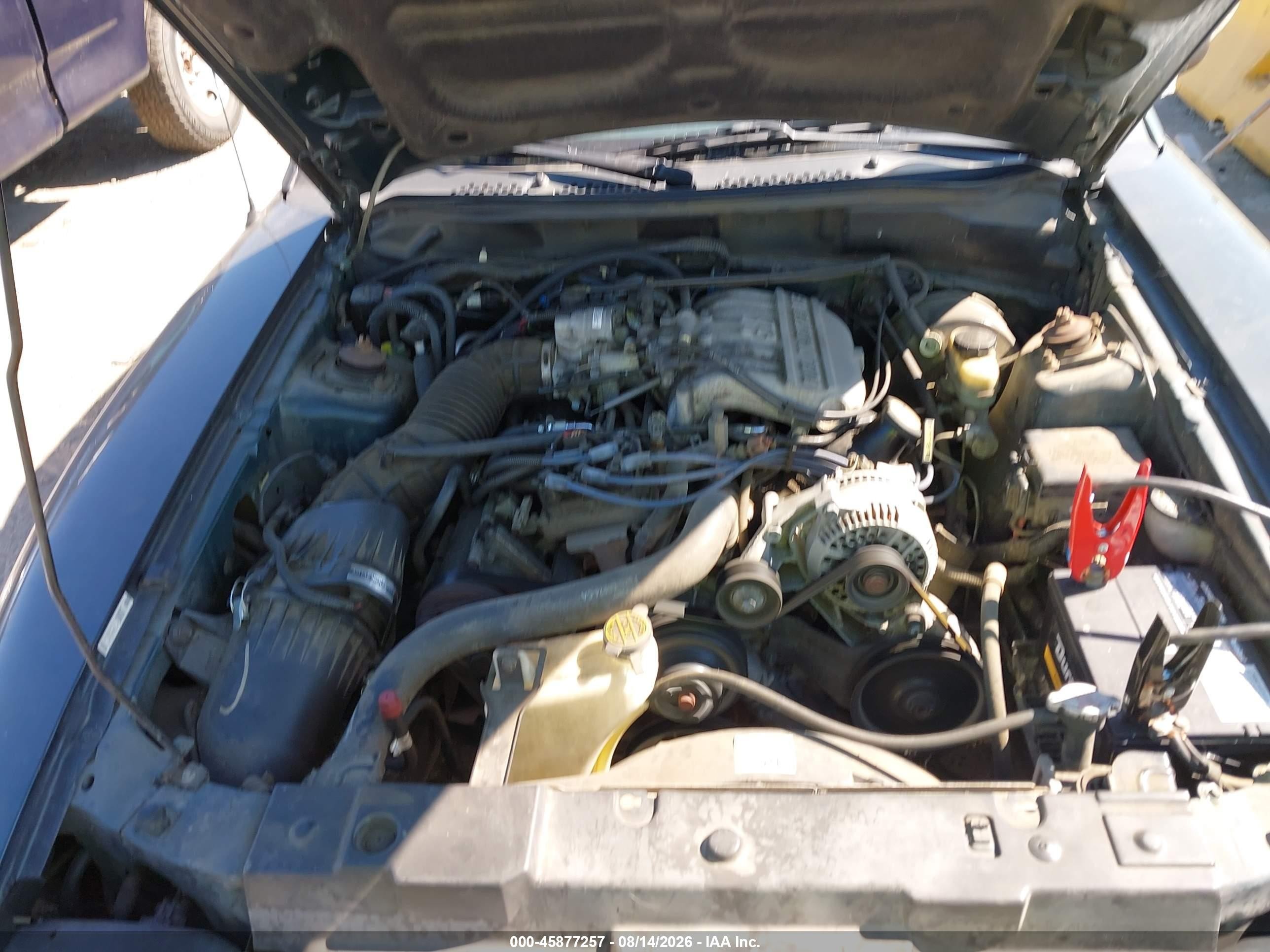 1998 Ford Mustang   Зеленый vin: 1FAFP4445WF230817