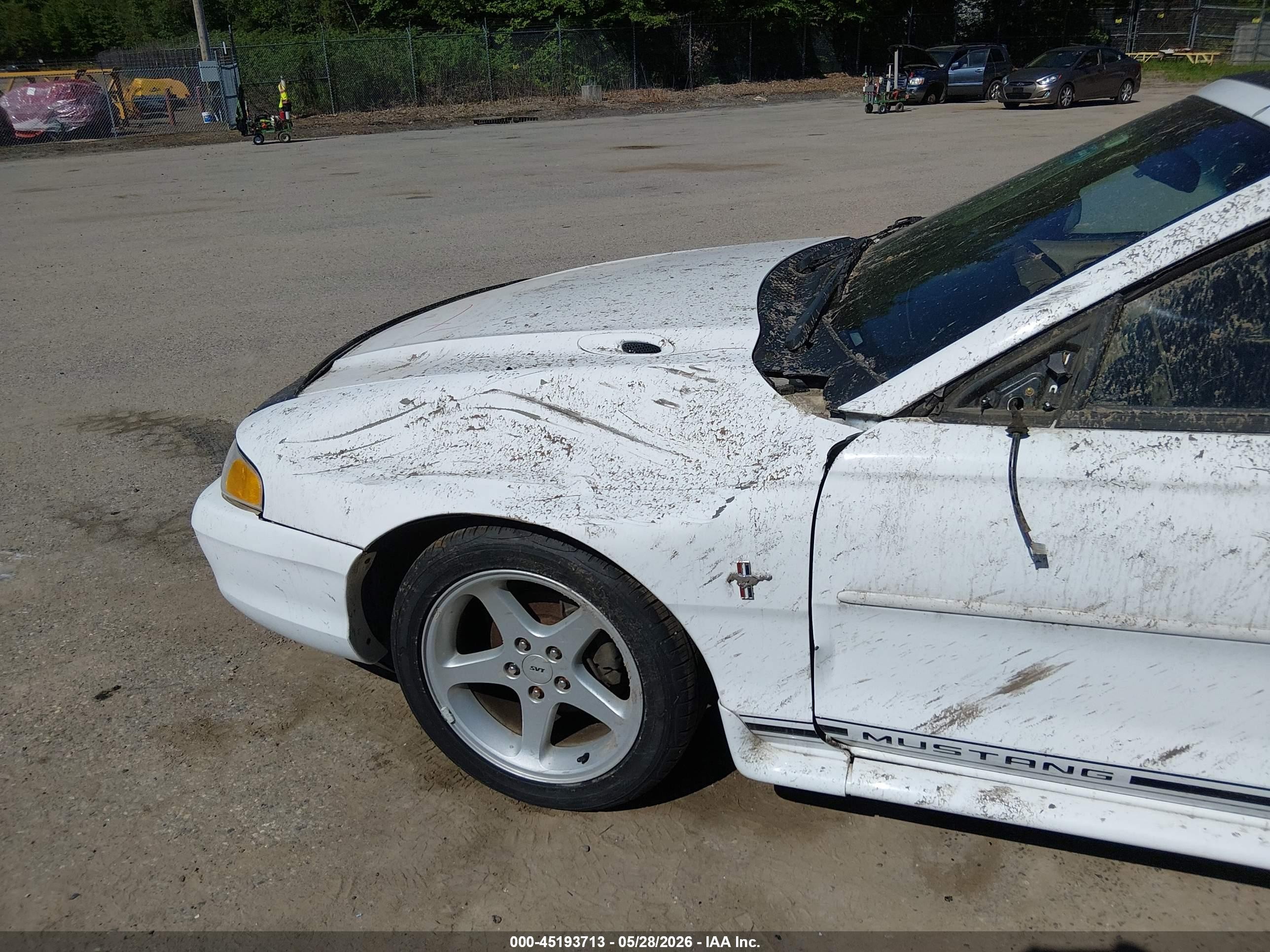1998 Ford Mustang   White vin: 1FAFP4445WF231126