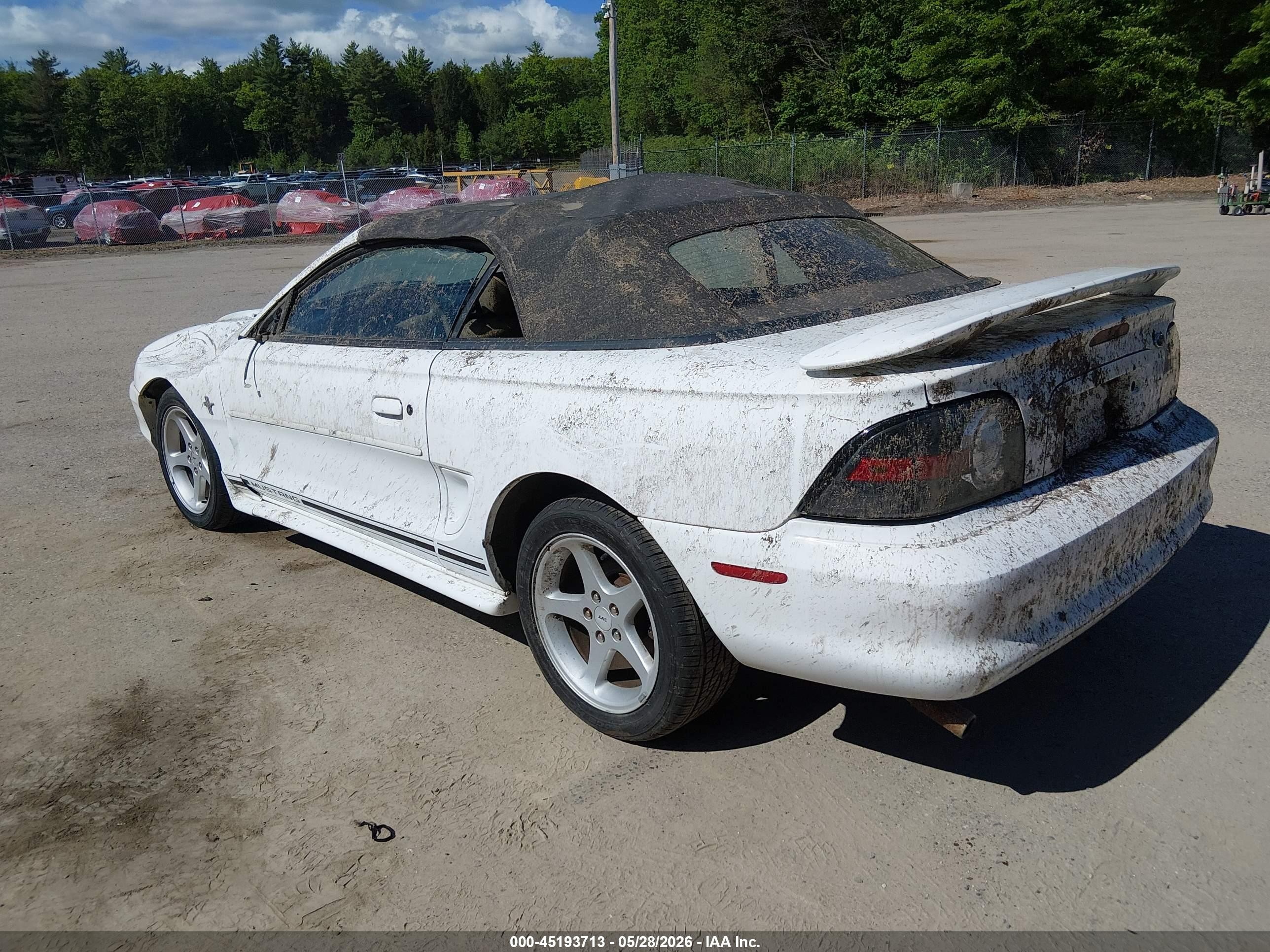 1998 Ford Mustang   White vin: 1FAFP4445WF231126