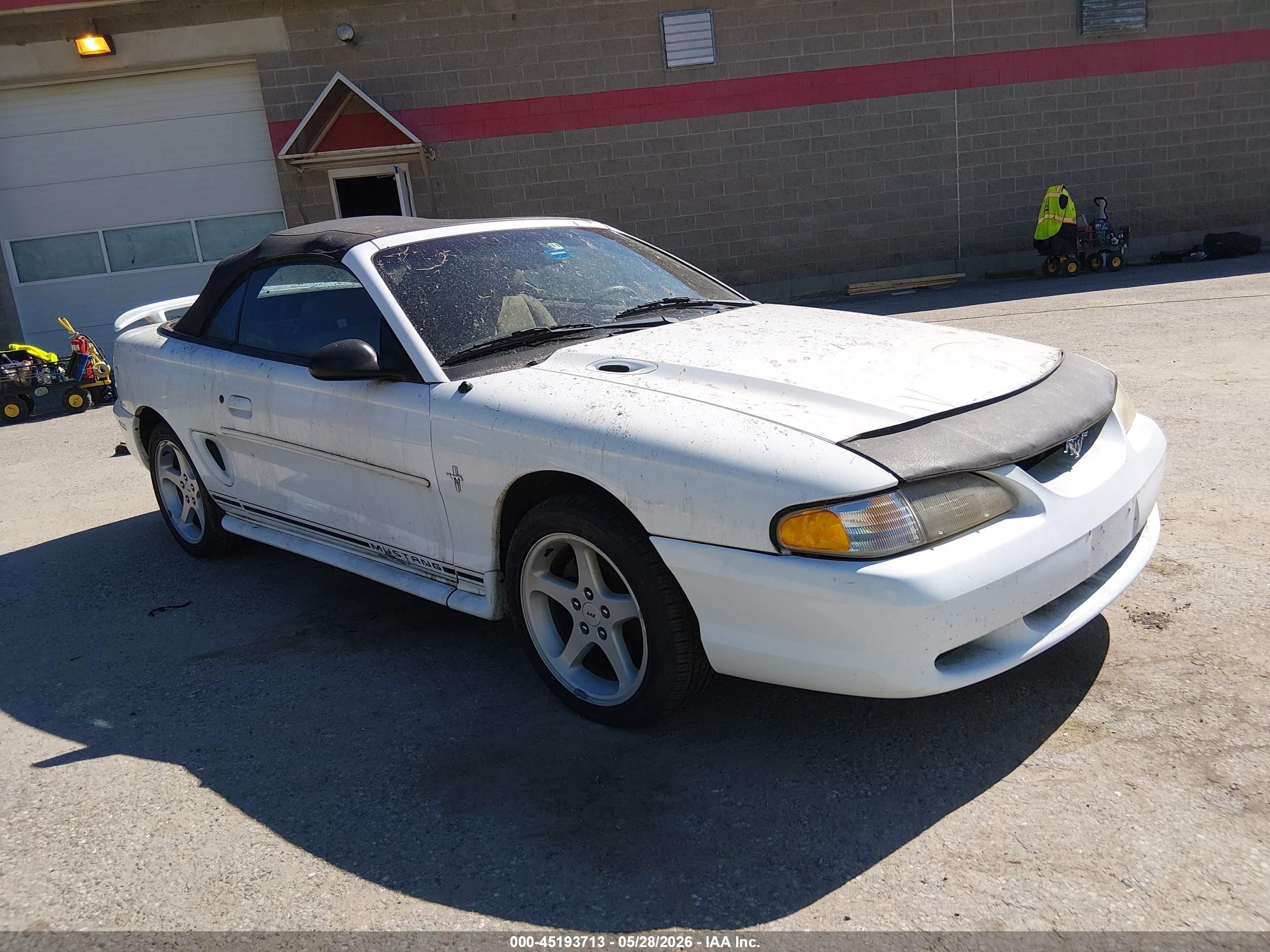 1998 Ford Mustang   White vin: 1FAFP4445WF231126