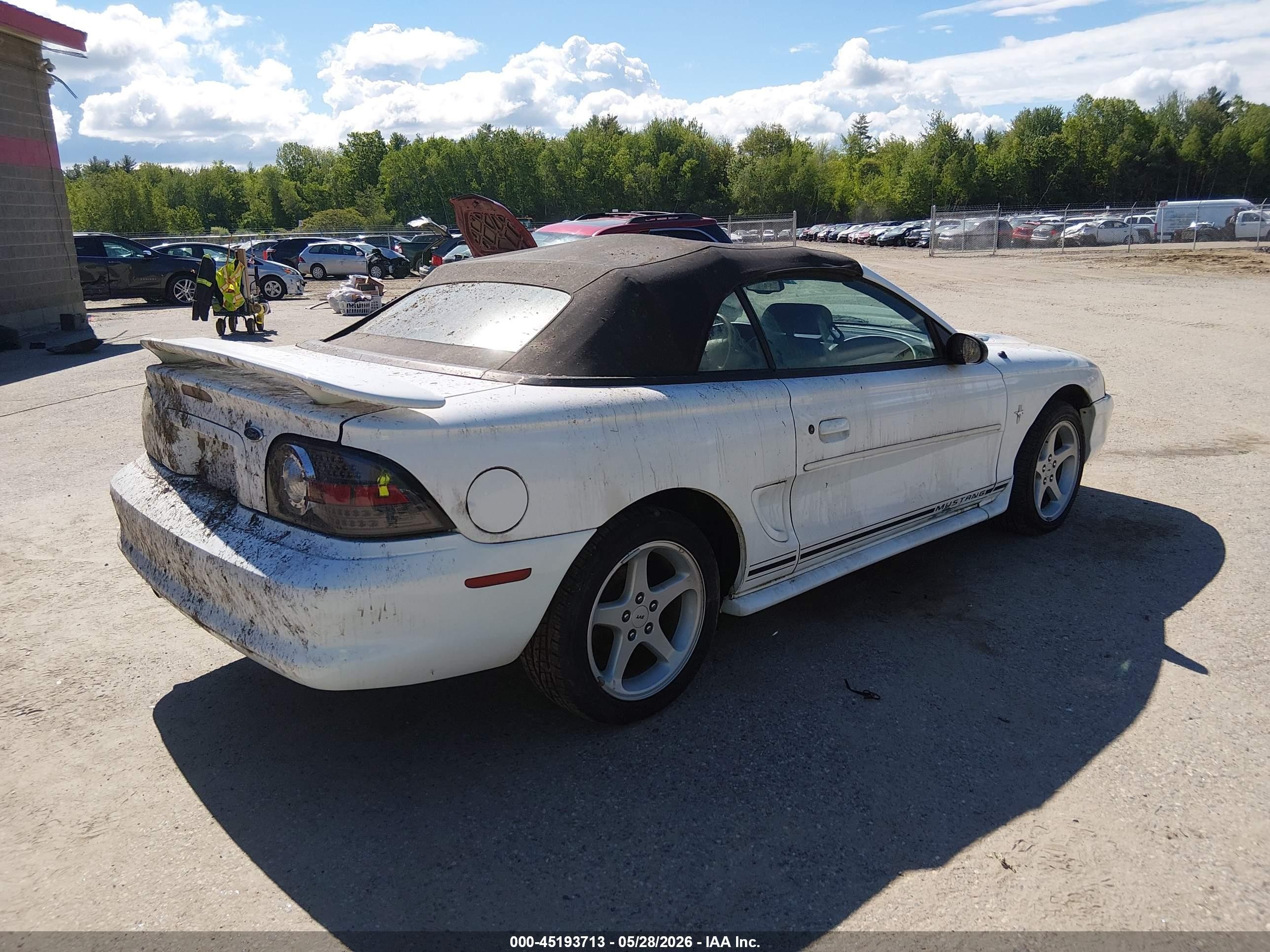 1998 Ford Mustang   White vin: 1FAFP4445WF231126