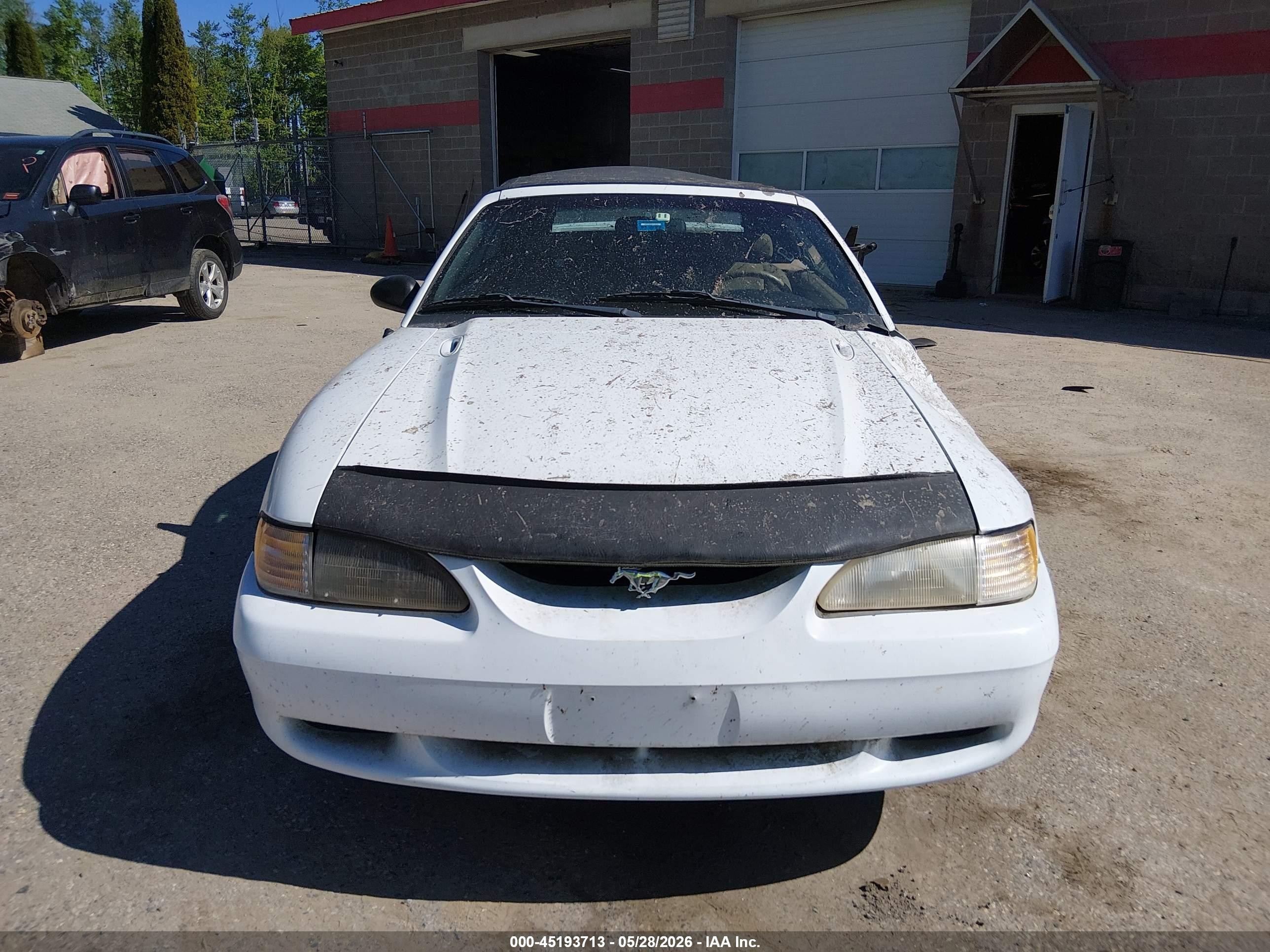1998 Ford Mustang   White vin: 1FAFP4445WF231126