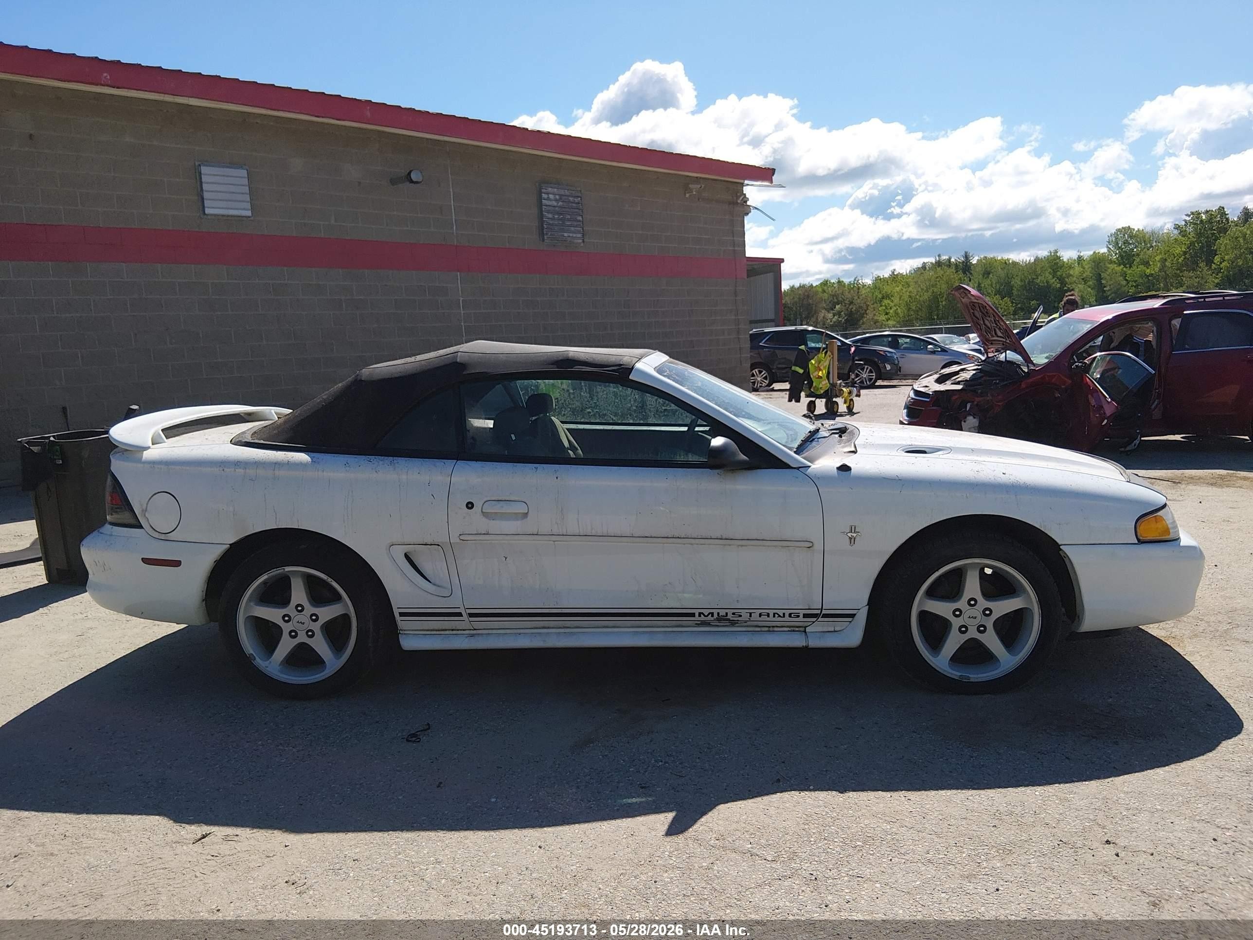 1998 Ford Mustang   White vin: 1FAFP4445WF231126