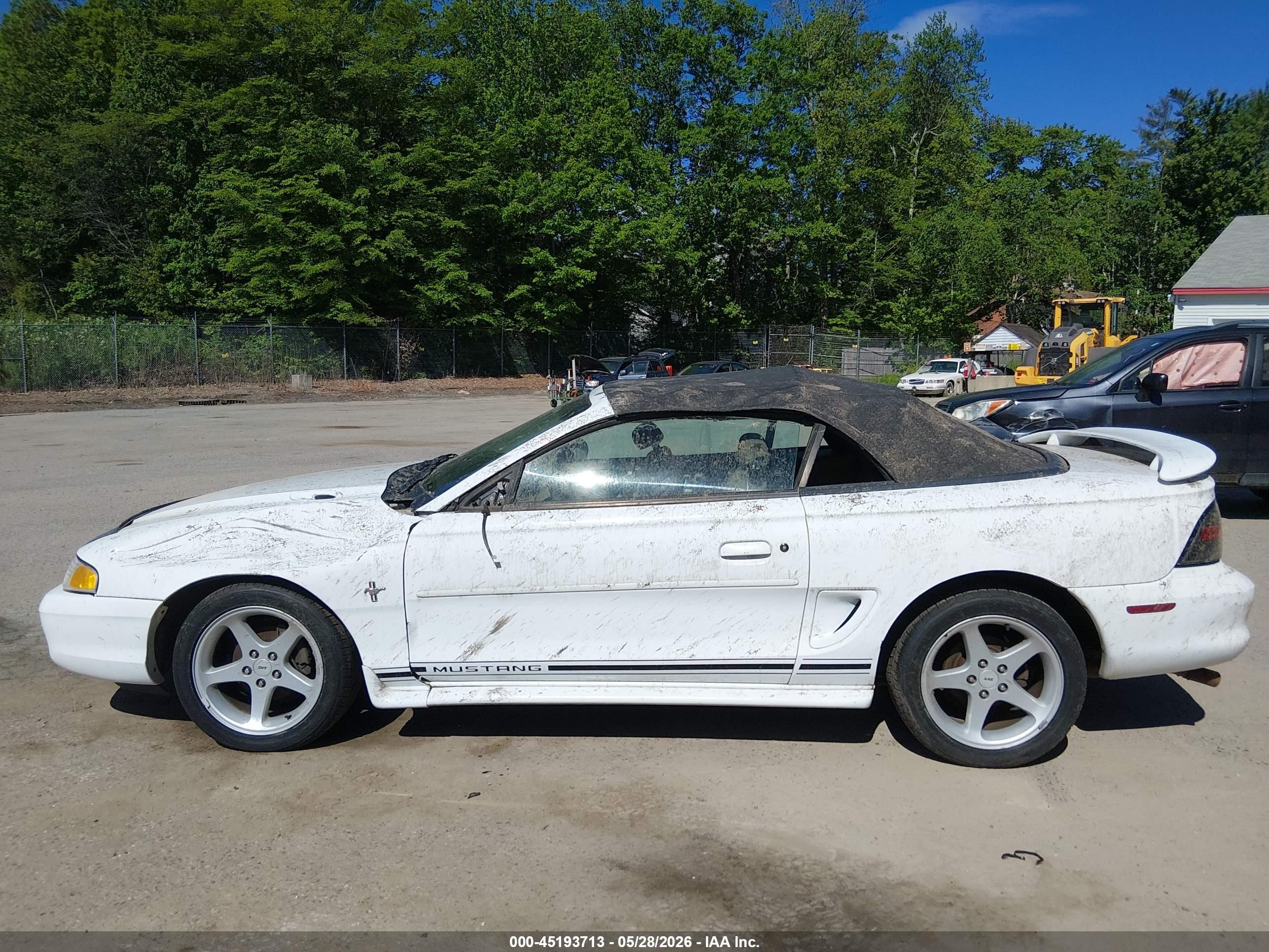 1998 Ford Mustang   White vin: 1FAFP4445WF231126