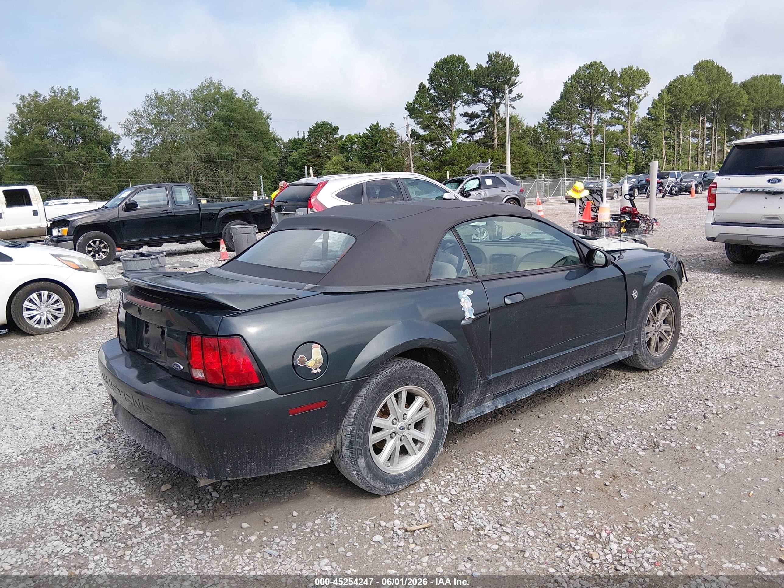 1999 Ford Mustang   Green vin: 1FAFP4445XF145316