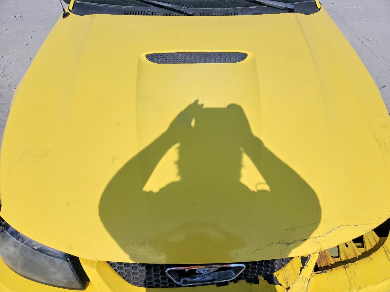 2001 Ford Mustang Yellow vin: 1FAFP44461F114700