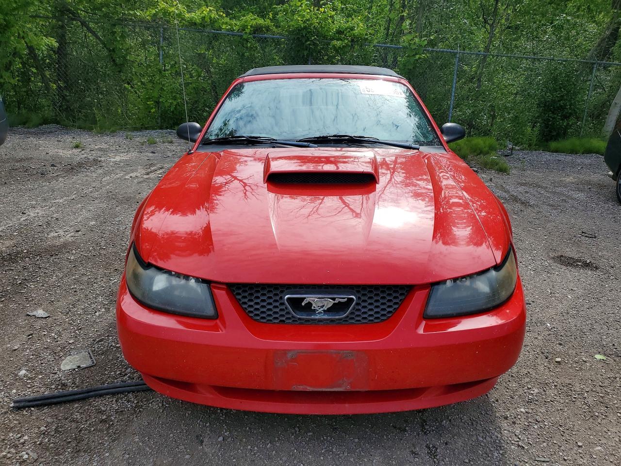 2003 Ford Mustang Red vin: 1FAFP44463F412831
