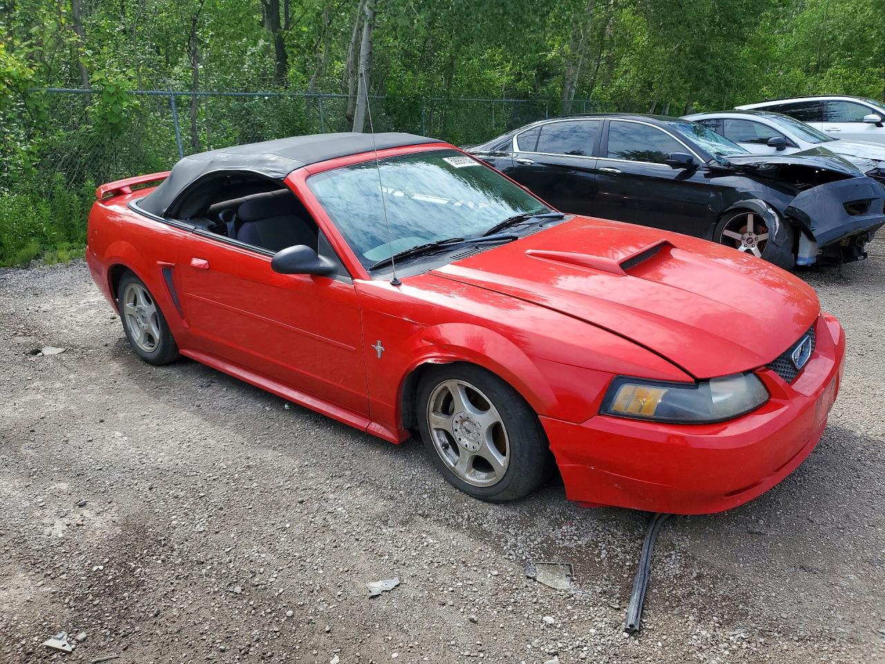 2003 Ford Mustang Red vin: 1FAFP44463F412831