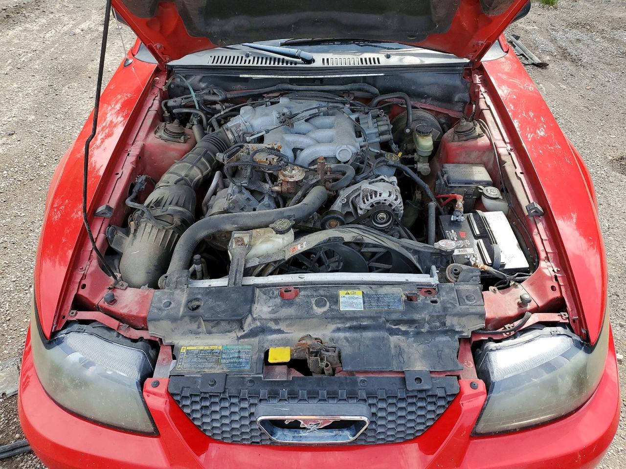 2003 Ford Mustang Red vin: 1FAFP44463F412831