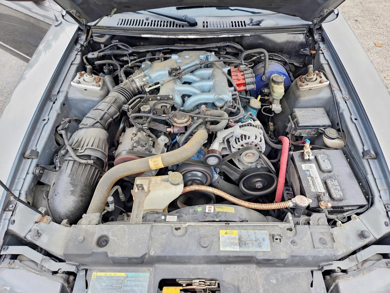 2004 Ford Mustang Gray vin: 1FAFP44464F125118