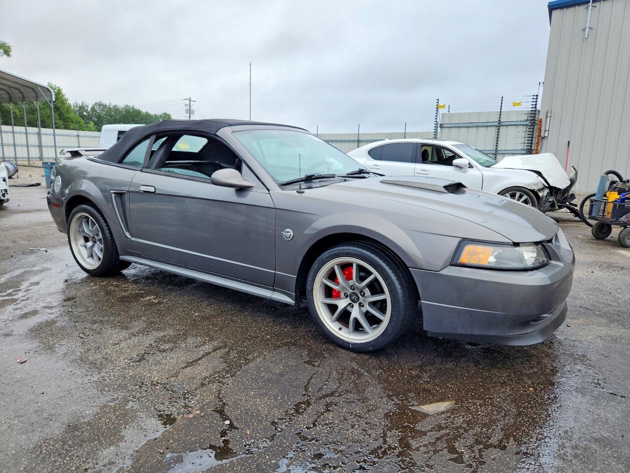 2004 Ford Mustang Gray vin: 1FAFP44464F125118