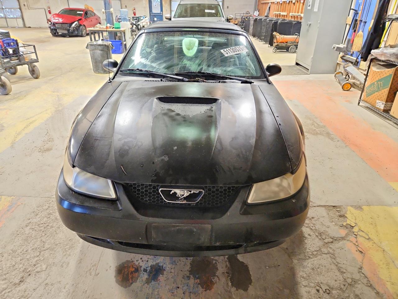 2000 Ford Mustang Black vin: 1FAFP4446YF108566