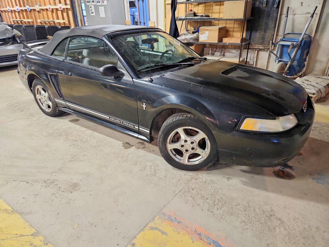 2000 Ford Mustang Black vin: 1FAFP4446YF108566