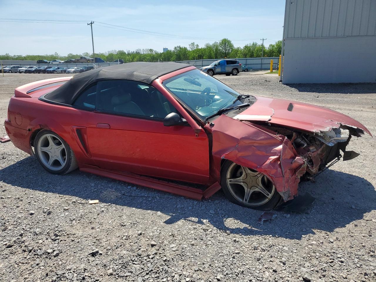 2000 Ford Mustang V6 Convertible Red vin: 1FAFP4446YF223037