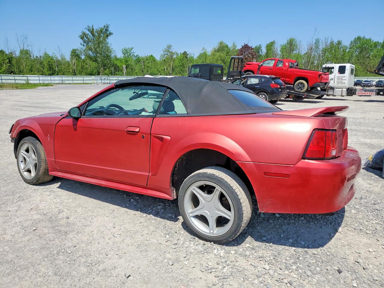 2000 Ford Mustang V6 Convertible Red vin: 1FAFP4446YF223037