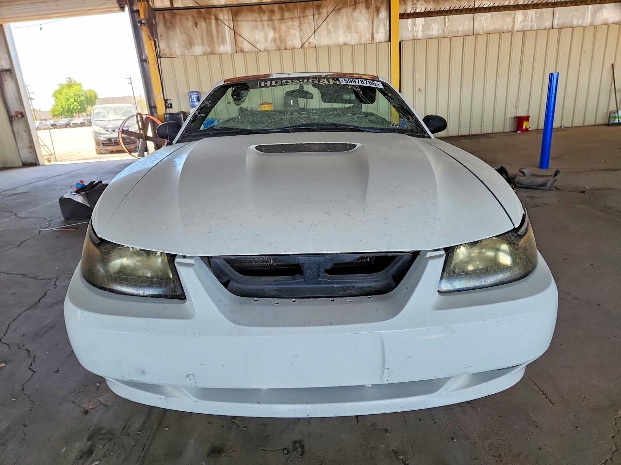 2000 Ford Mustang White vin: 1FAFP4446YF239450