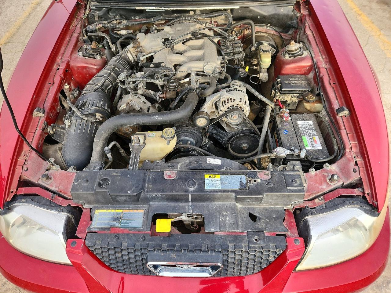 2002 Ford Mustang Burgundy vin: 1FAFP44472F109362