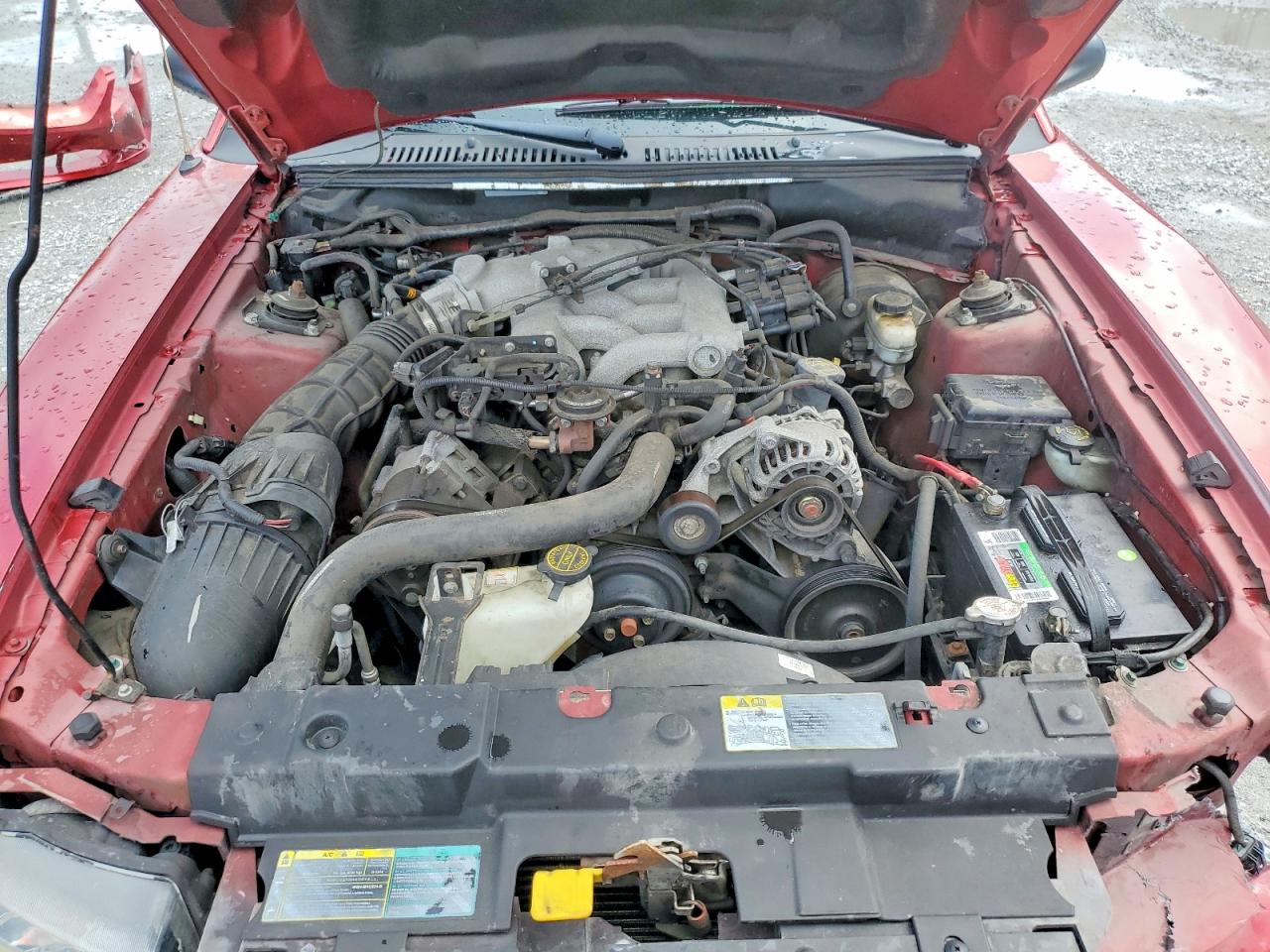 2003 Ford Mustang Red vin: 1FAFP44473F426639