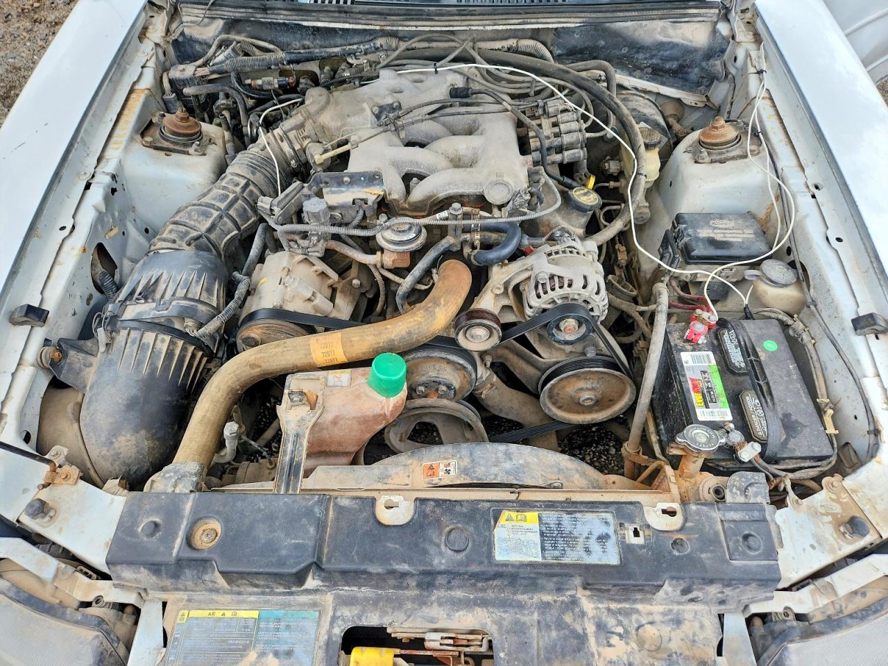 2003 Ford Mustang Белый vin: 1FAFP44473F431873