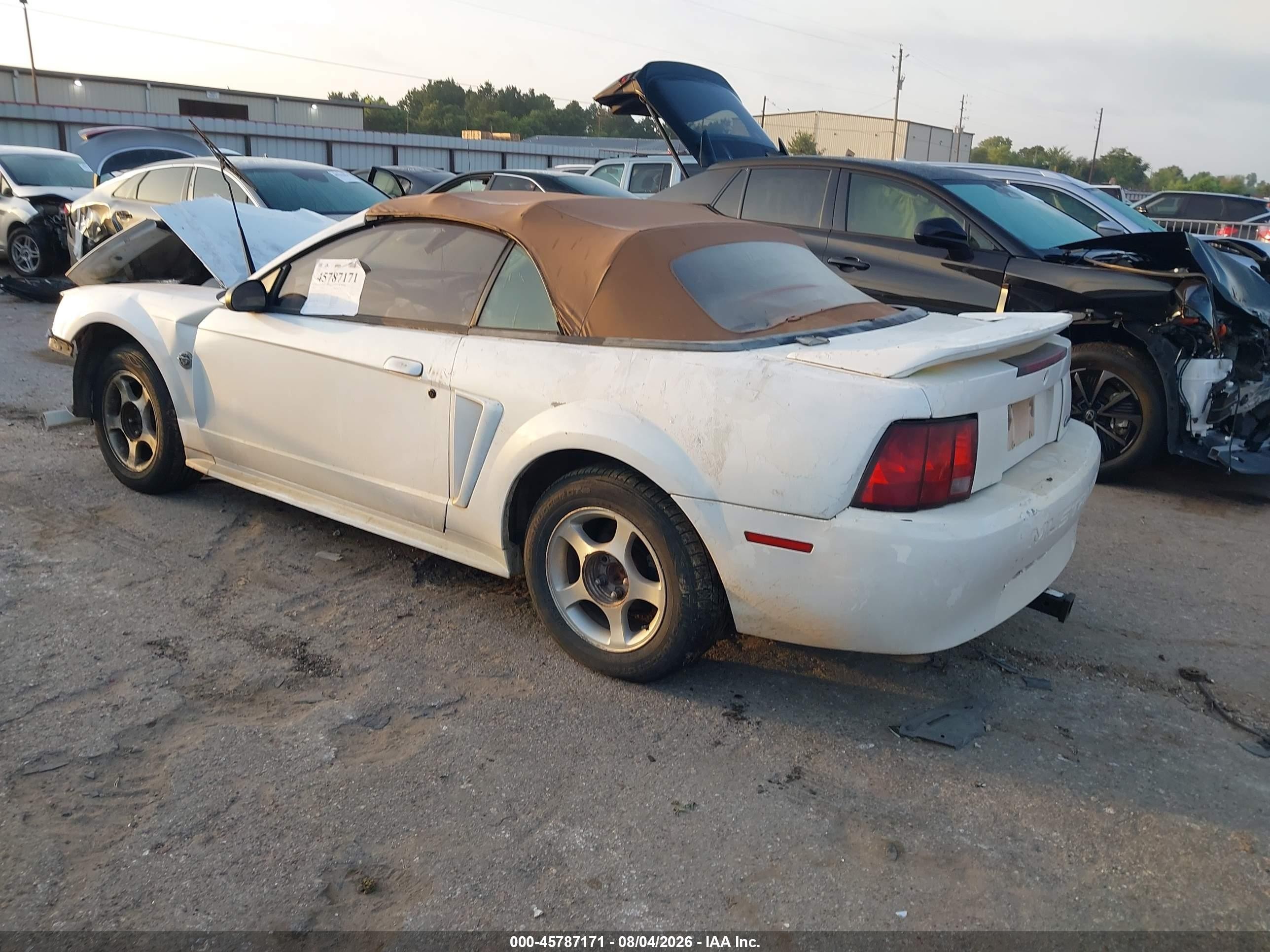 2000 Ford Mustang Белый vin: 1FAFP4447YF159171