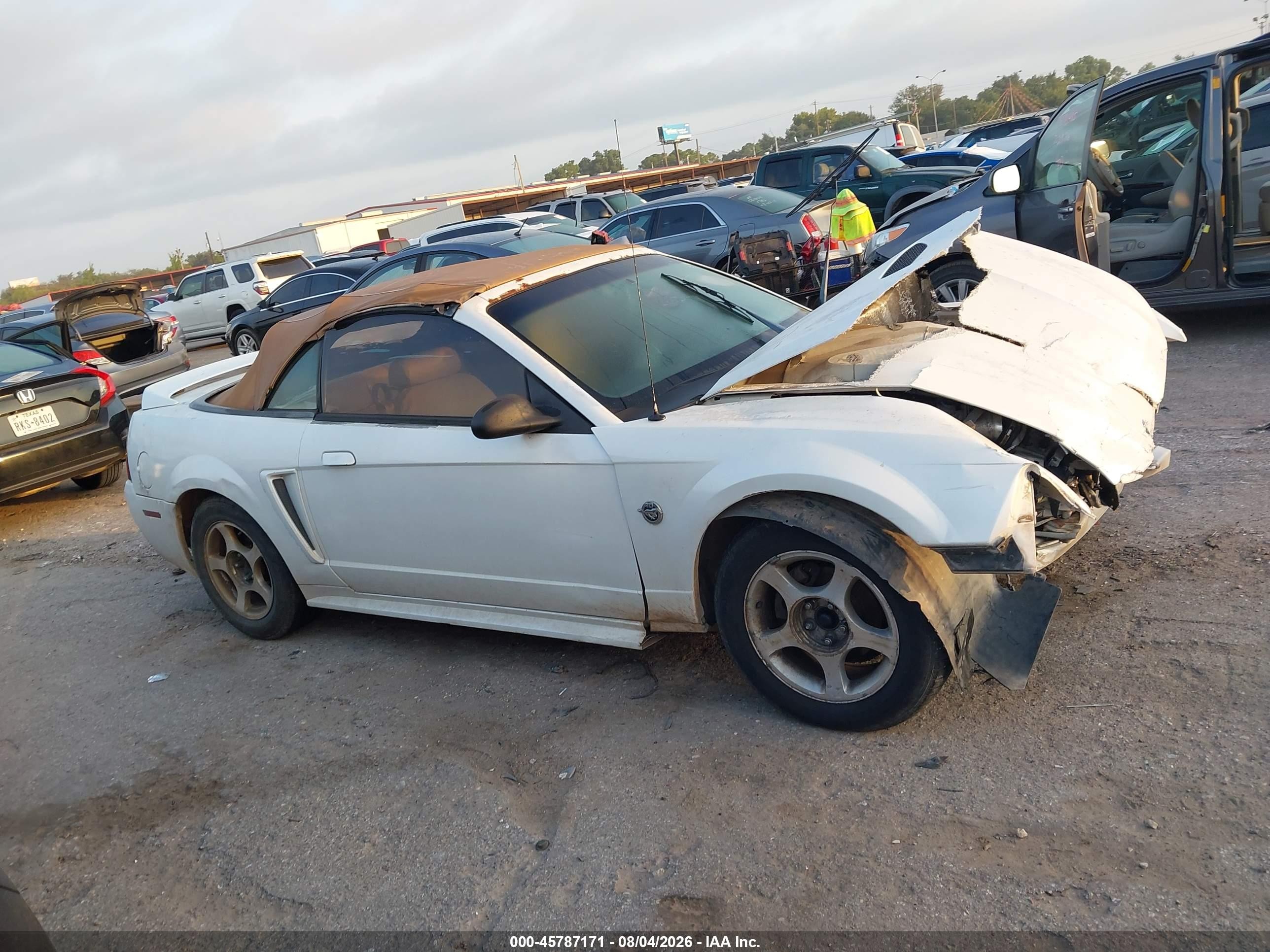 2000 Ford Mustang Белый vin: 1FAFP4447YF159171