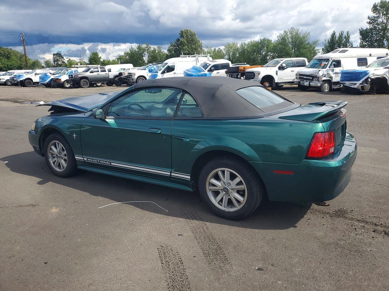 2000 Ford Mustang Green vin: 1FAFP4447YF288771