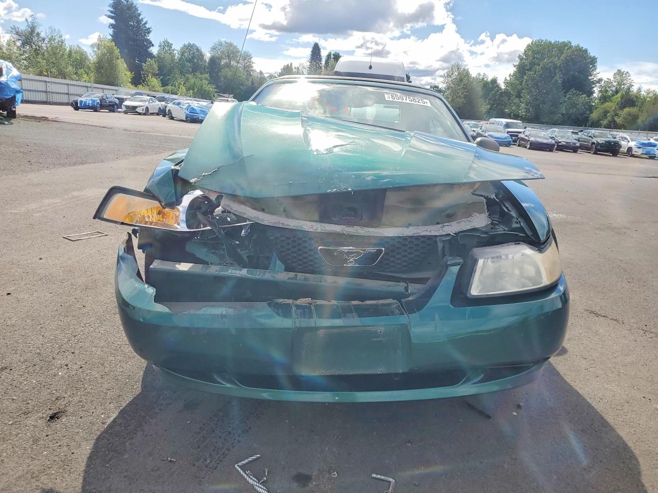2000 Ford Mustang Green vin: 1FAFP4447YF288771