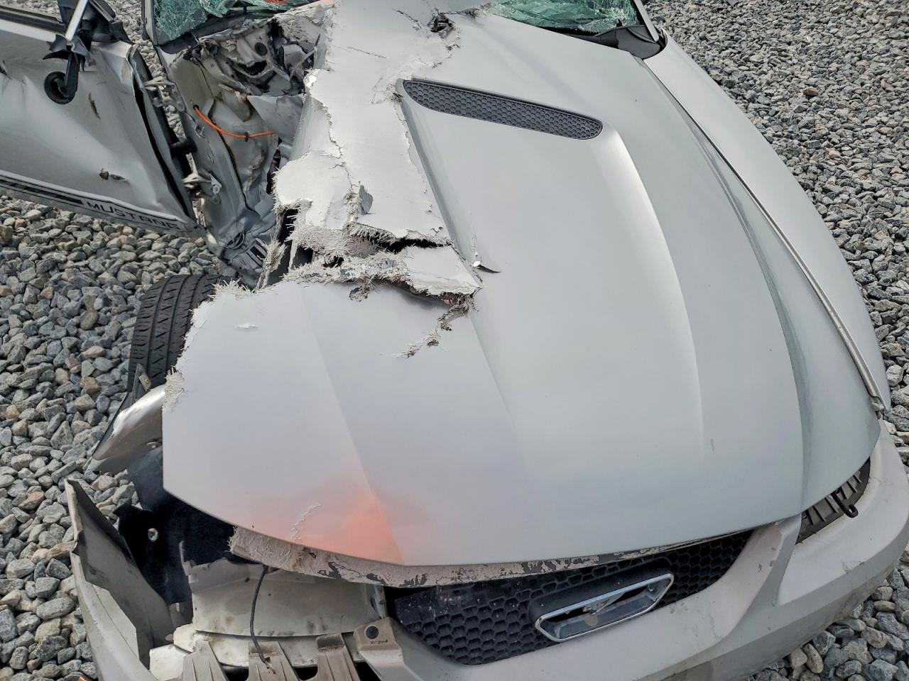 2001 Ford Mustang Silver vin: 1FAFP44481F246101