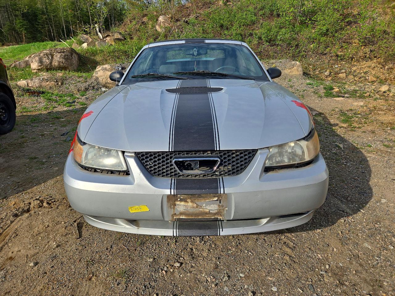 2000 Ford Mustang Gray vin: 1FAFP4448YF213643