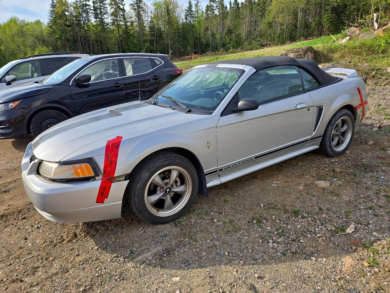 2000 Ford Mustang Gray vin: 1FAFP4448YF213643