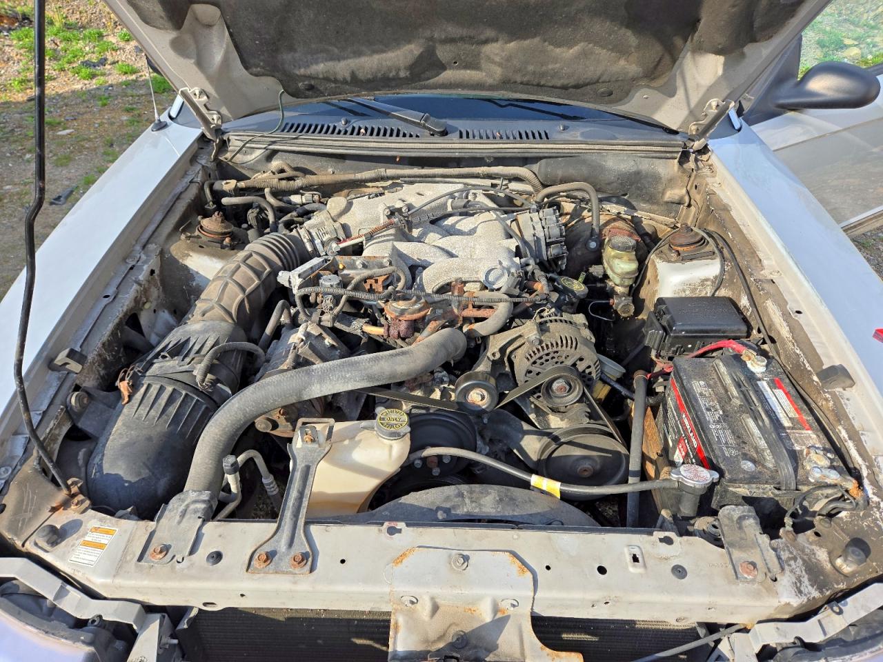 2000 Ford Mustang Gray vin: 1FAFP4448YF213643