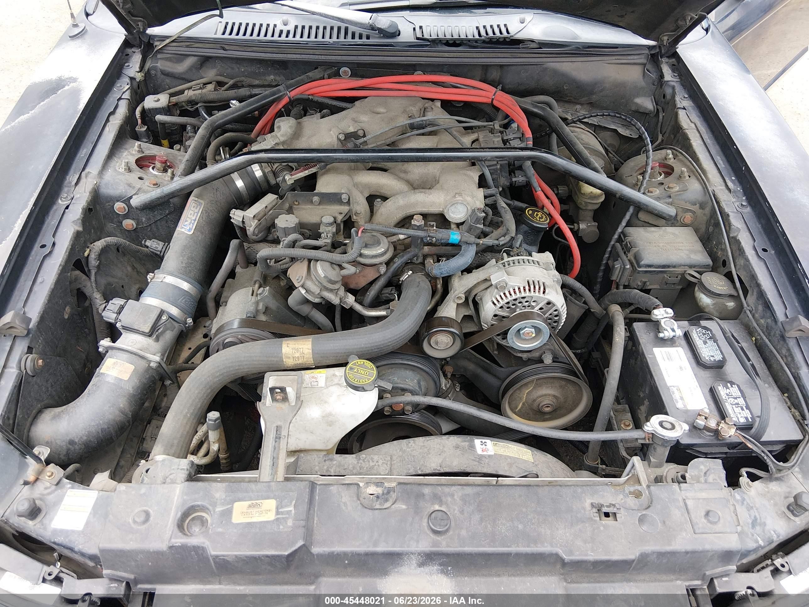1999 Ford Mustang   Black vin: 1FAFP4449XF137039