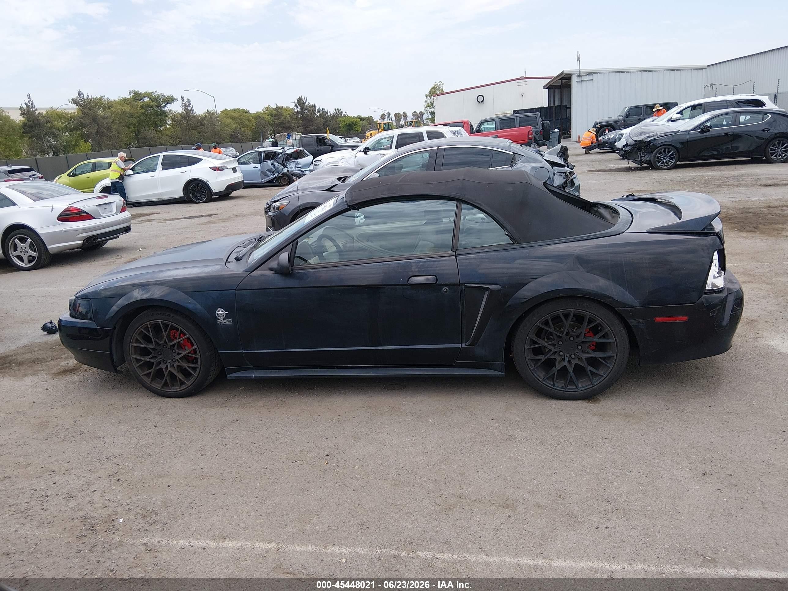 1999 Ford Mustang   Black vin: 1FAFP4449XF137039