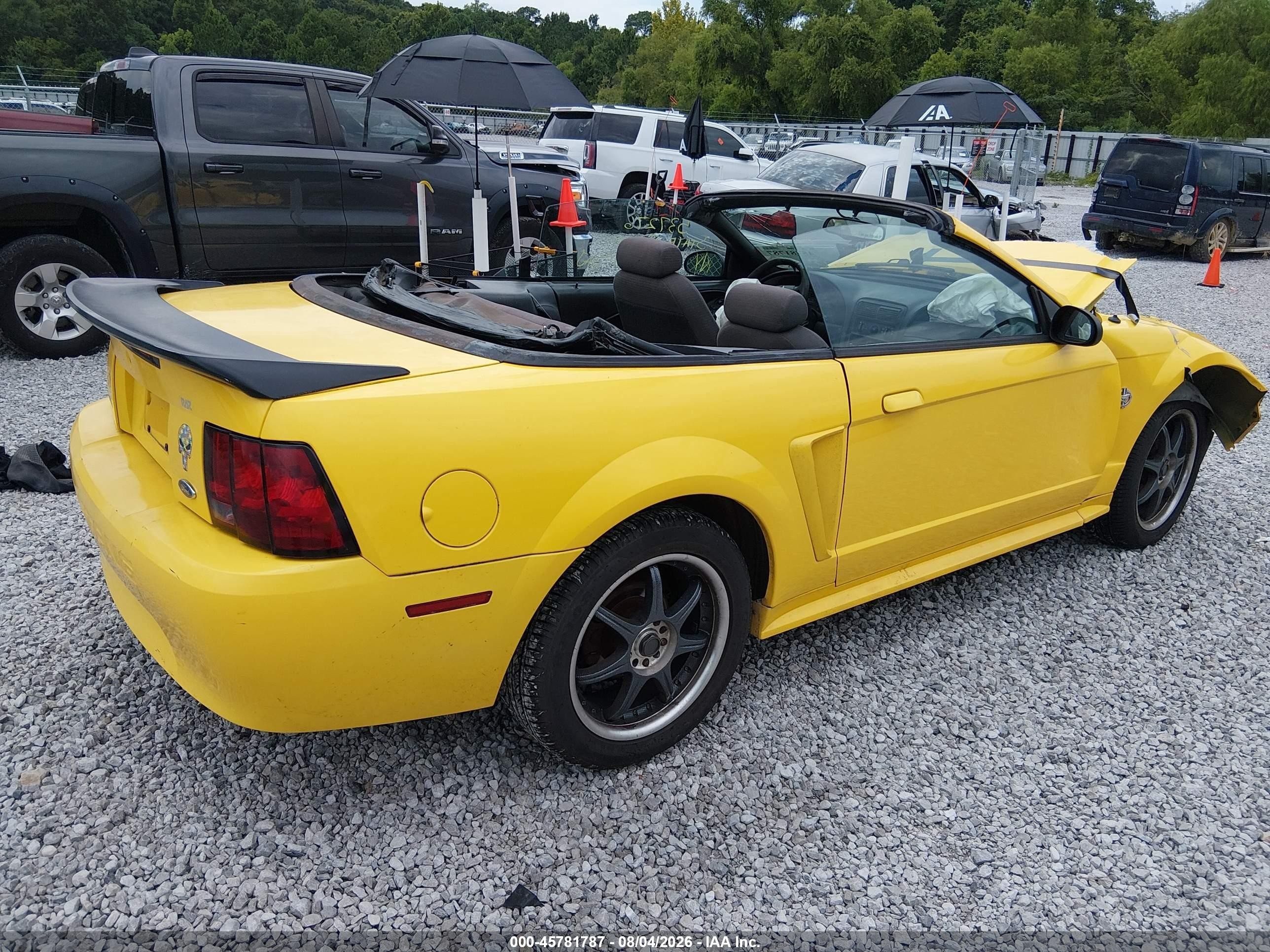 1999 Ford Mustang   Yellow vin: 1FAFP4449XF149241